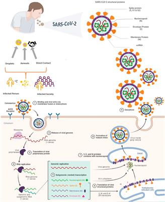 Nanotechnology and COVID-19: Prevention, diagnosis, vaccine, and treatment strategies